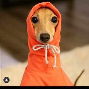 Meet your Posher, Bailey